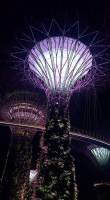 Amazing Singapore WheninSG SingaporeAtItsBest Structure