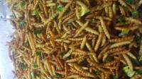 Fried Worms #WheninThailand #ThailandFood #Bangkokfood #food