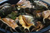 Saang #Seashell #shell #foodie #seafood