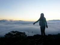 Sagada Lemon Pie House