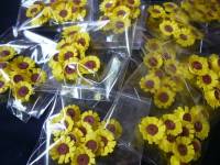 Sunflower Lip Miracle #HumanHeartNature
