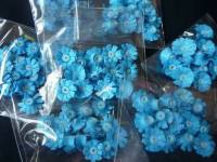 Blue Daisies
