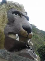 the lions head