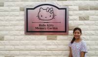 HK Go Around SG