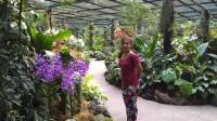 I lost in Davao