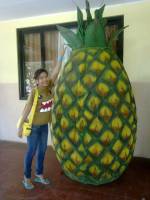 Who lives in the pineapple under tne sea