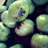 dried mango
