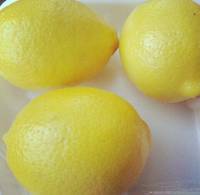 Lemon cucumber drinks lemoncucumber lemon cucumber