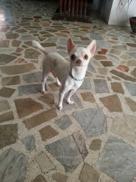 tiny