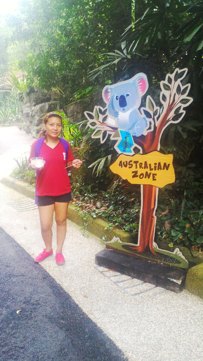 #wheninSG #SingaporeZoo