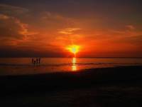 #beach #summer
