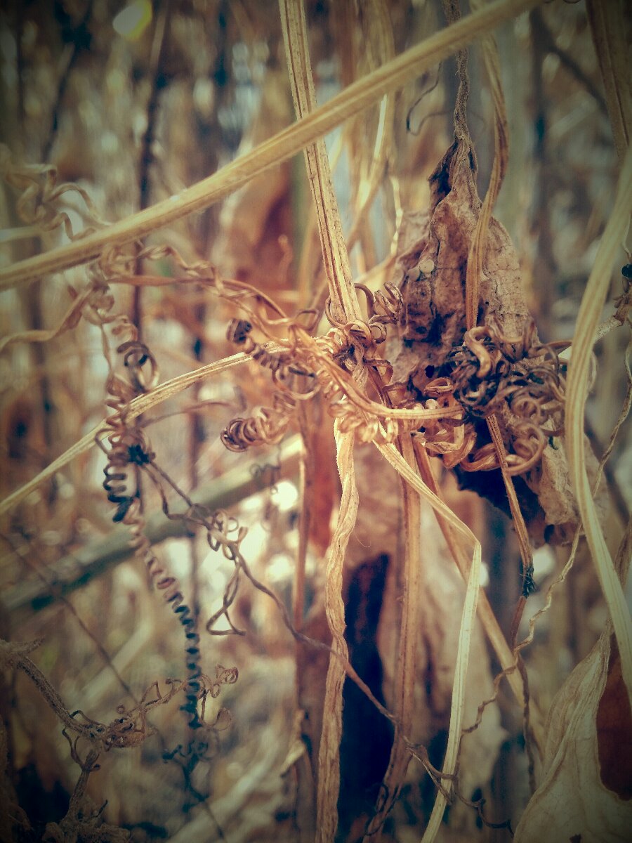 Photo uploaded by fayaz434, 4