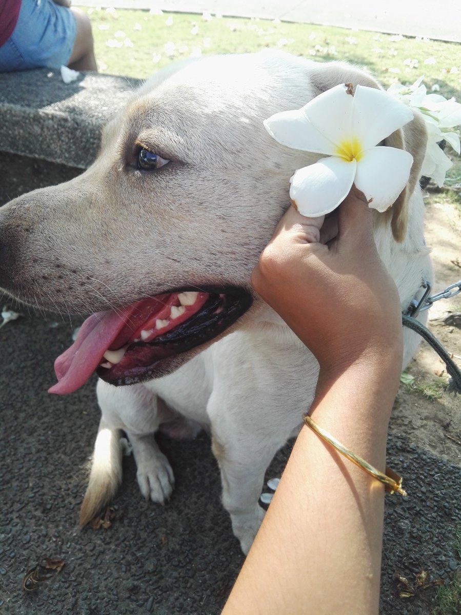 Hahaha so cute