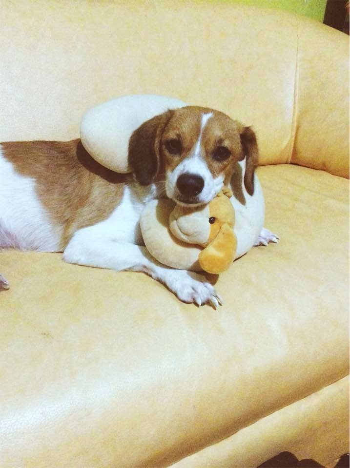 I love my pet forevsss