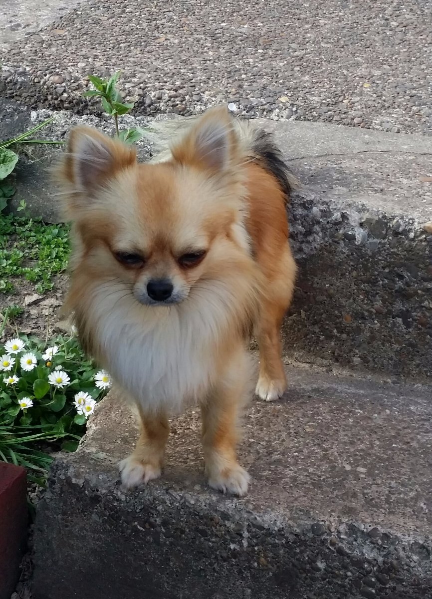 Ben