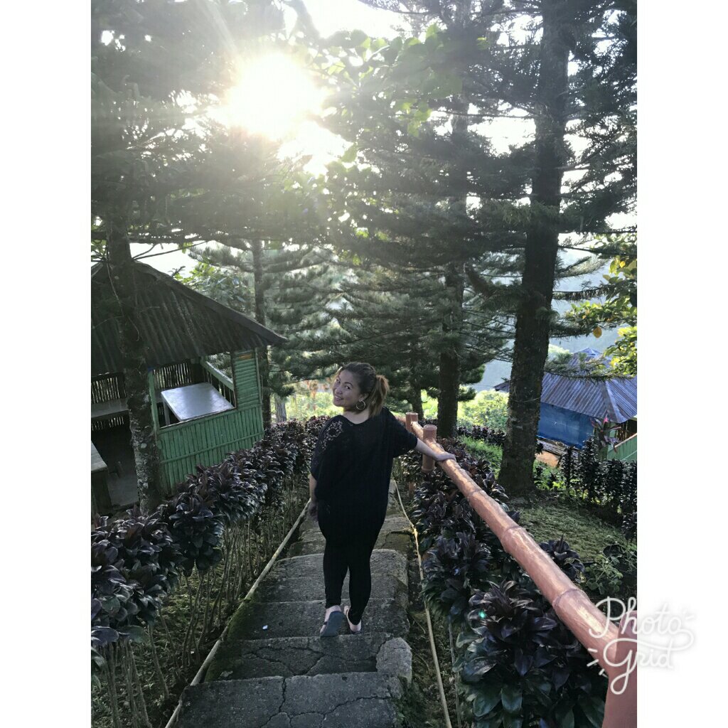 Get drunk in good life, I will take you to paradise #travels #mountains #nature