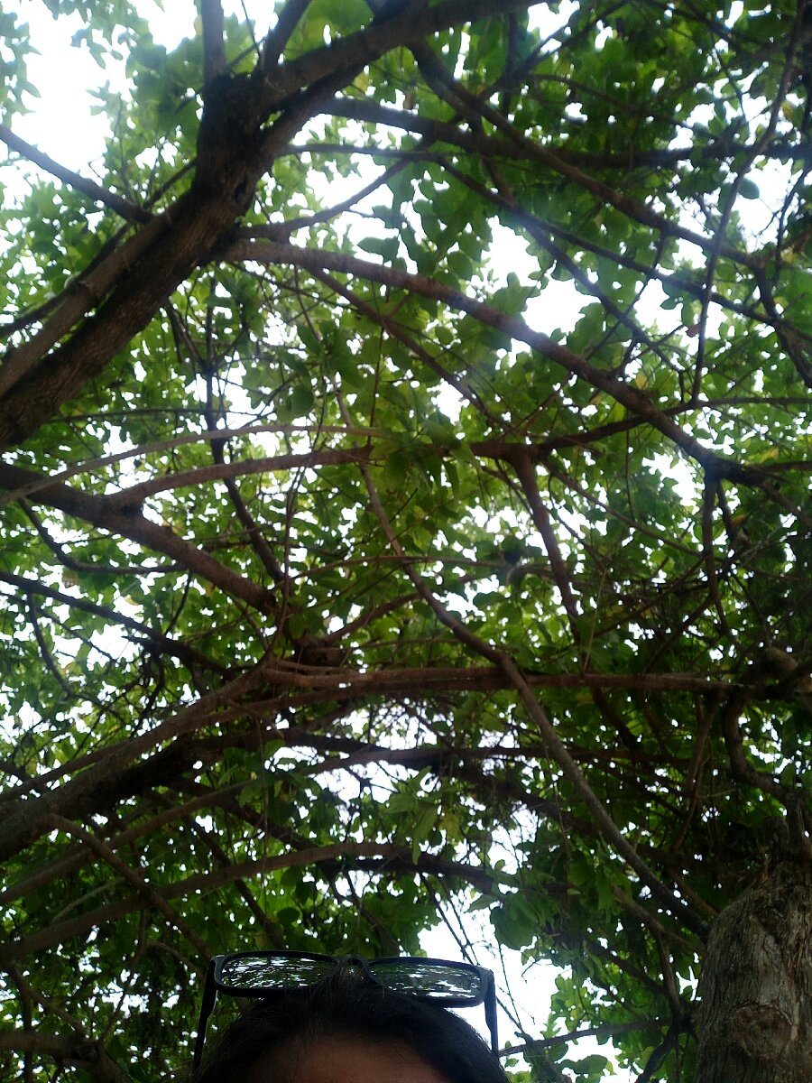 Green, as green as your mind #beachlife
