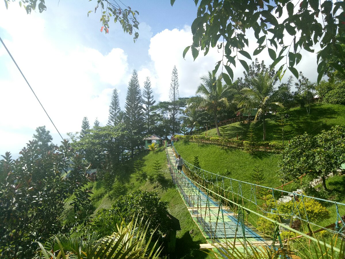 Hanging Bridge