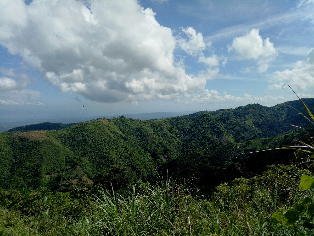 I wont get tired of going back to this place