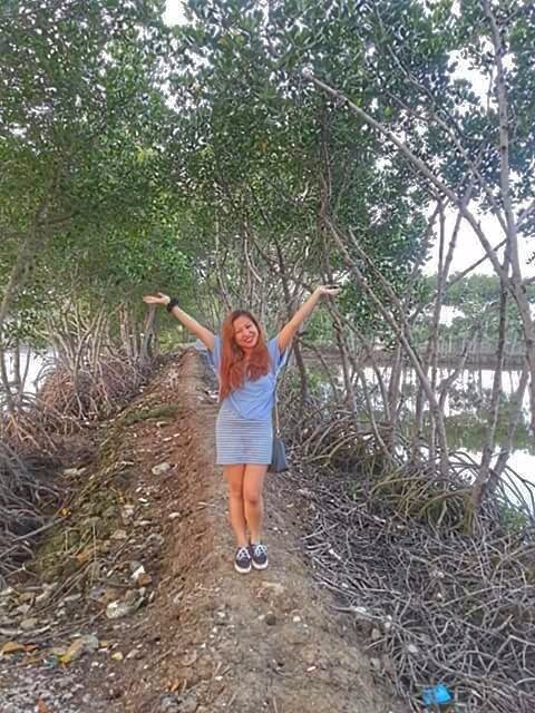 Into the woods