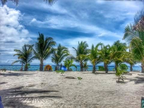 Island Life
