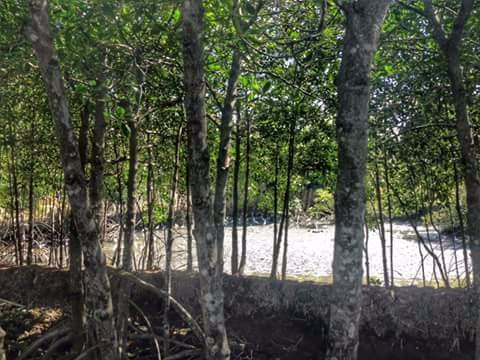 Nature at its best