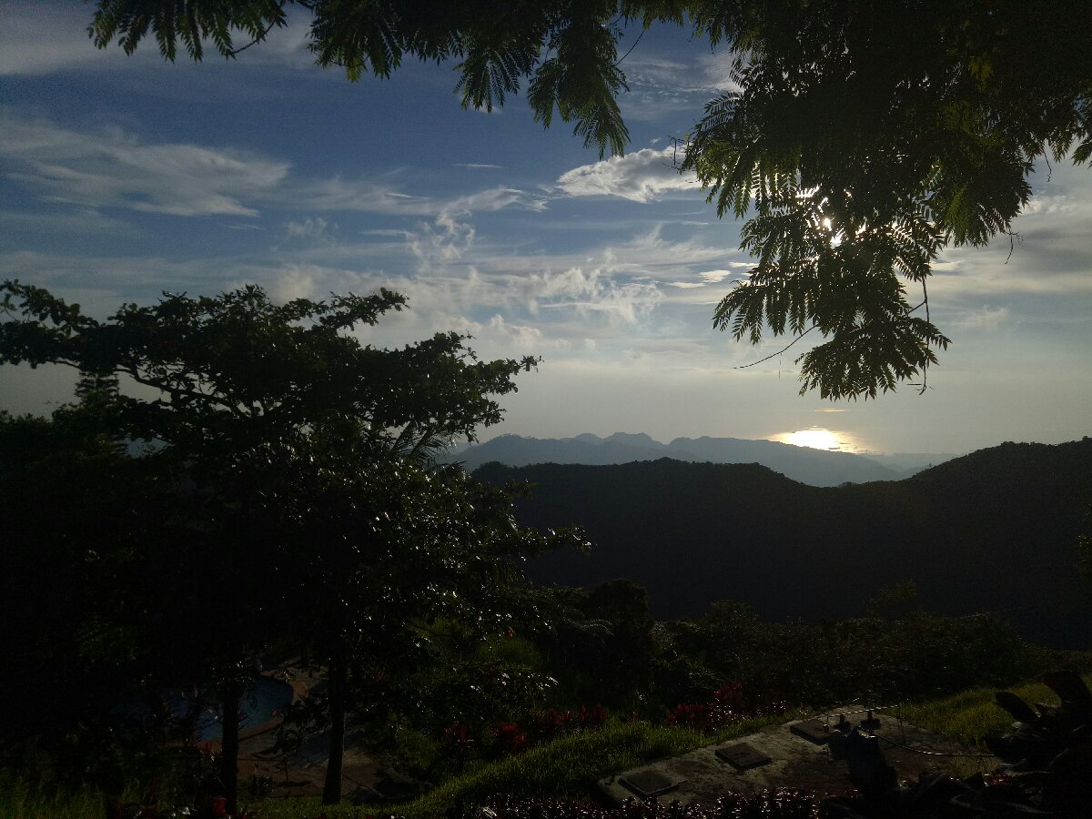 The place is lovely
