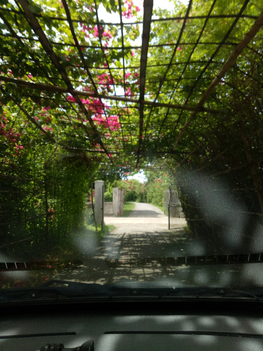 To the paradise waiting for you travels