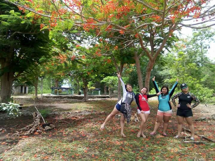 We feel like were in Japan #sakura #cherryblossoms #bohol
