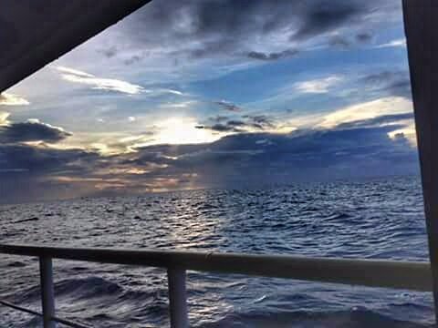 #camotes