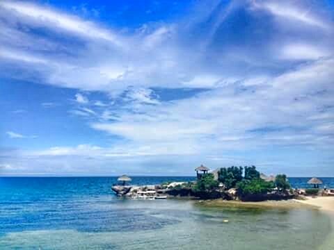 #camotes