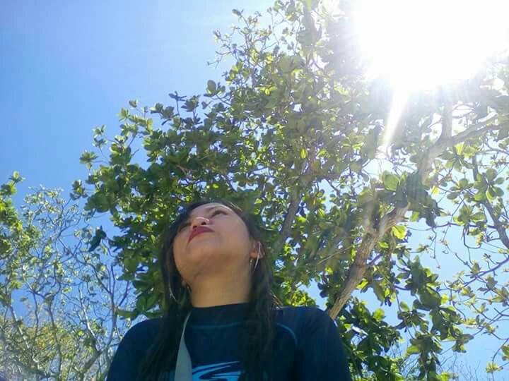 oh, sunlight 