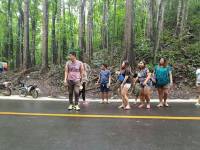 Because cars are approaching, we have to keep an eye before we can have a decent picture hahaha #famousmanmadeforest #bohol #travels