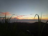 Im at peace with nature #sunset