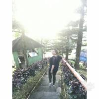 Wait for me, Ill follow #forest #green #nature