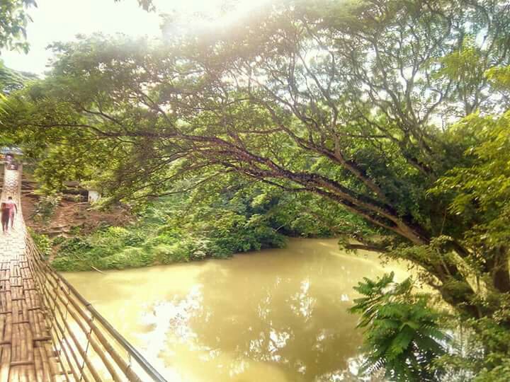 uhmmm green #travels #bohol