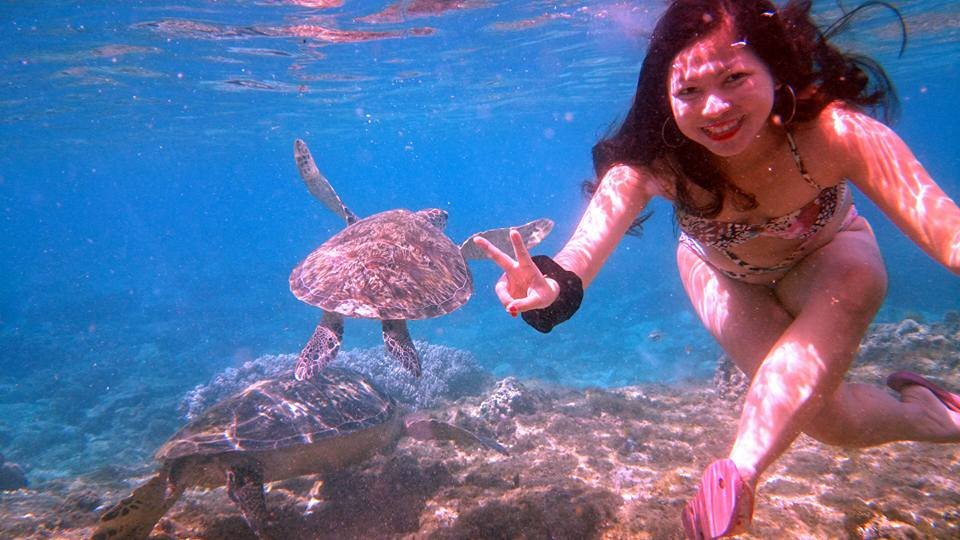 with the pawikans in Apo Island