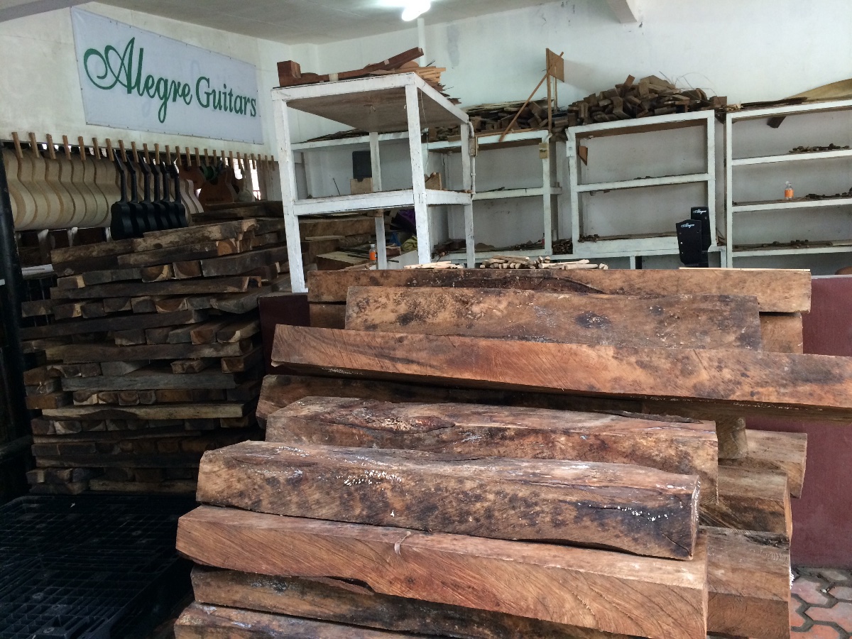 Log from nature, Tough and solid 
