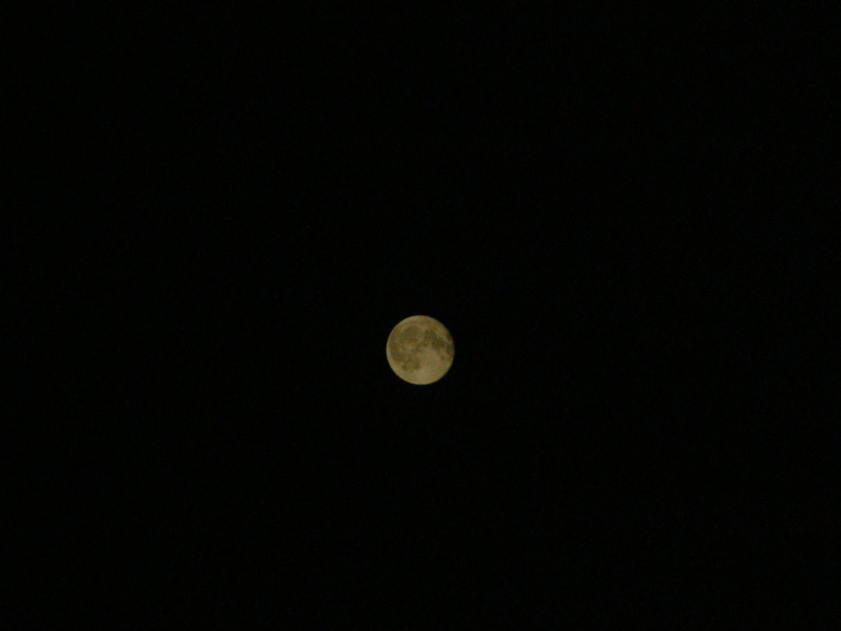 moon, night, yellow