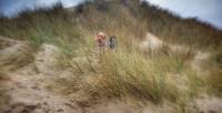 Benji the dog hiding in grass on a sand dune in Cornwall. 😍