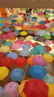 Umbrellas, lovely, amazing, mall
