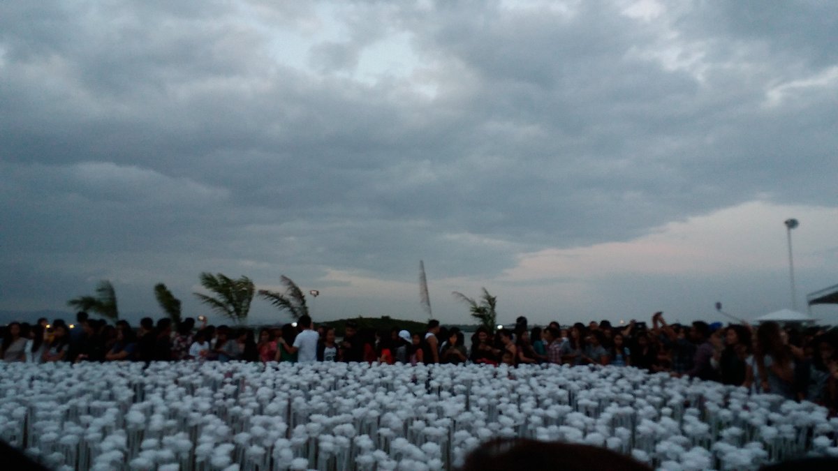 10k roses