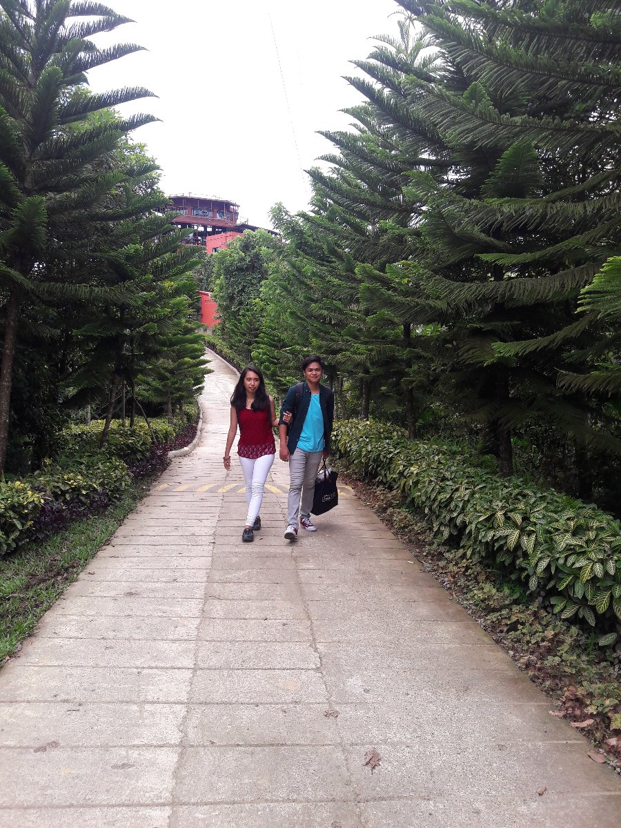 Travel goals with this cutie at west 35