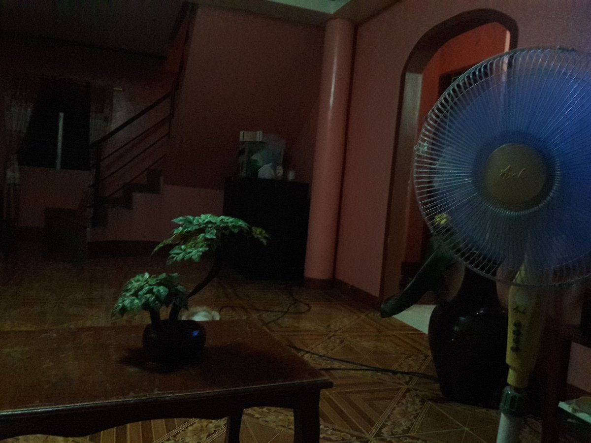 movie marathon, with cousins, at house, watching sing