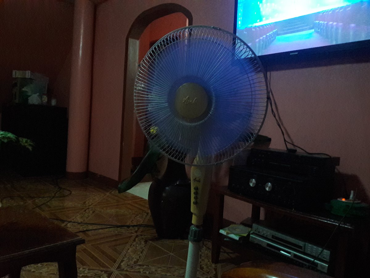 movie marathon, with cousins, at house, watching sing