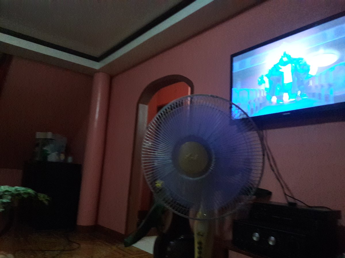 movie marathon, with cousins, at house, watching sing
