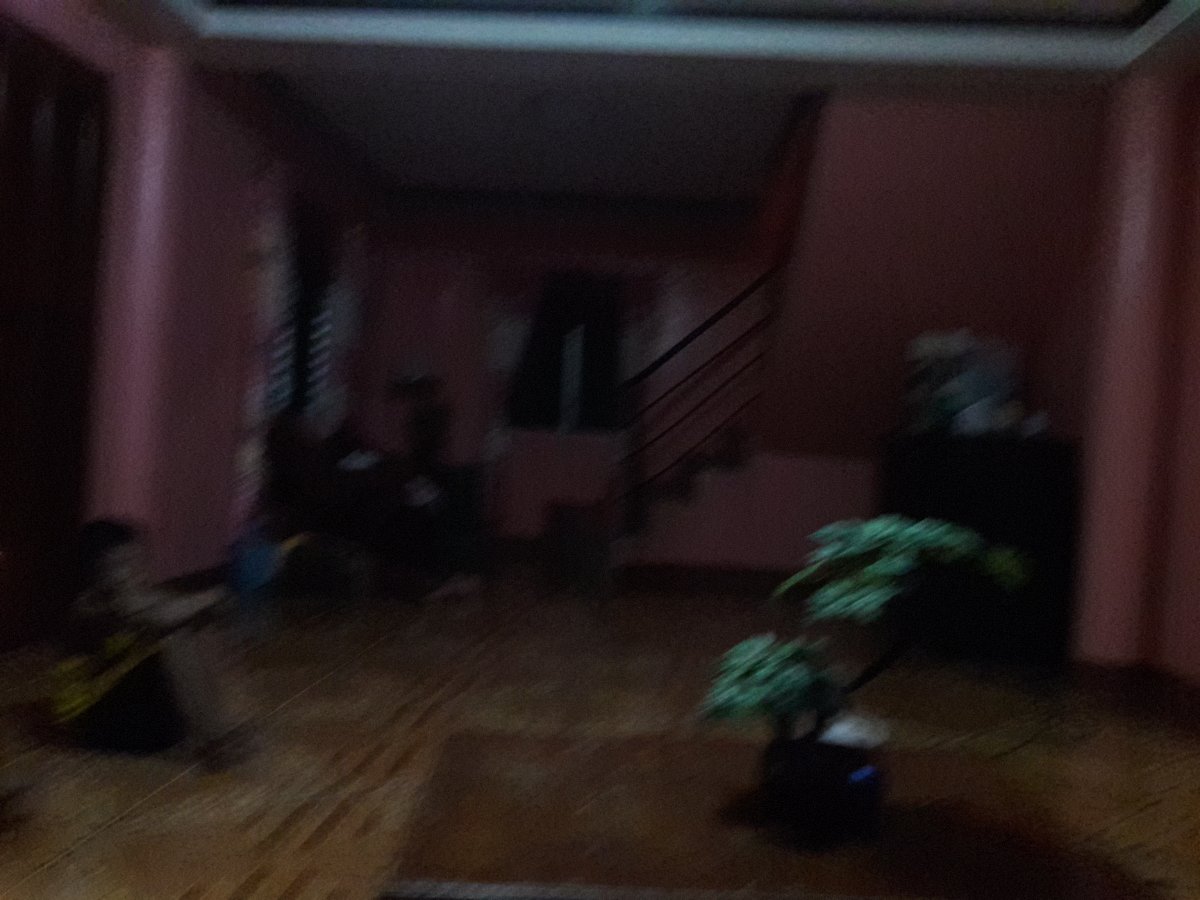 movie marathon, with cousins, at house, watching sing