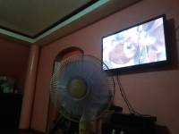 movie marathon, with cousins, at house, watching sing