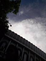 Carbon view, school, rooftop