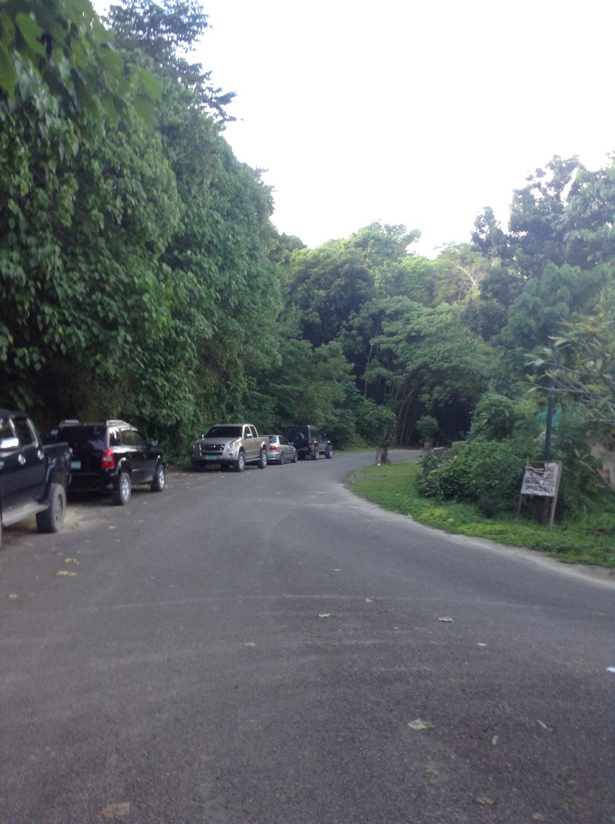 Roadside